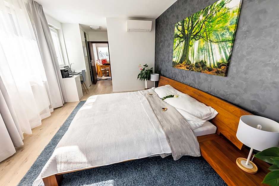 More Than Accommodation