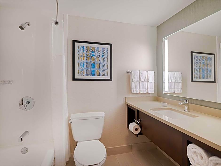 Hilton Garden Inn Chicago Downtown/Magnificent Mile