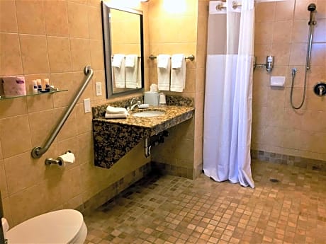 King Suite - Disability Access/Non-Smoking