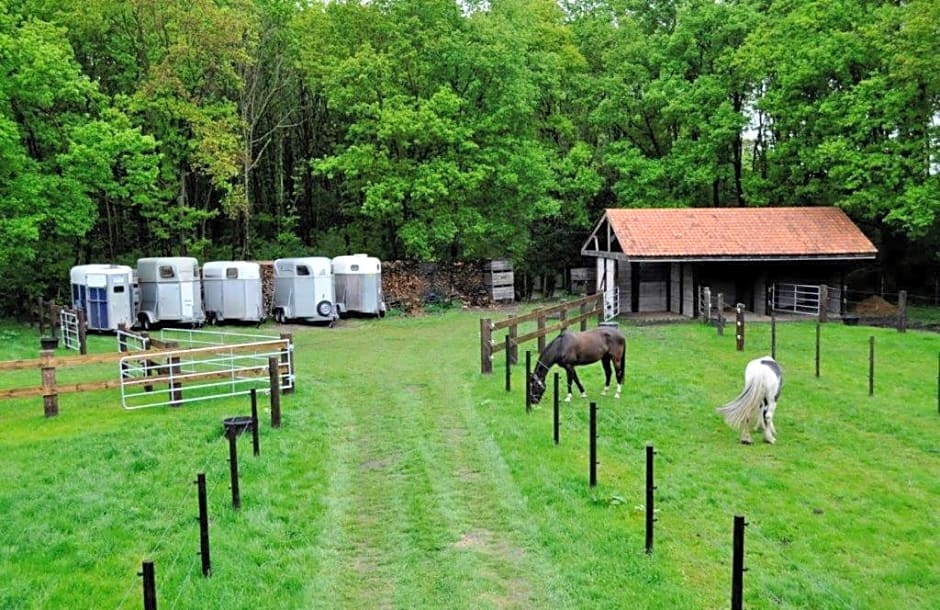 B&B De Edelsteen