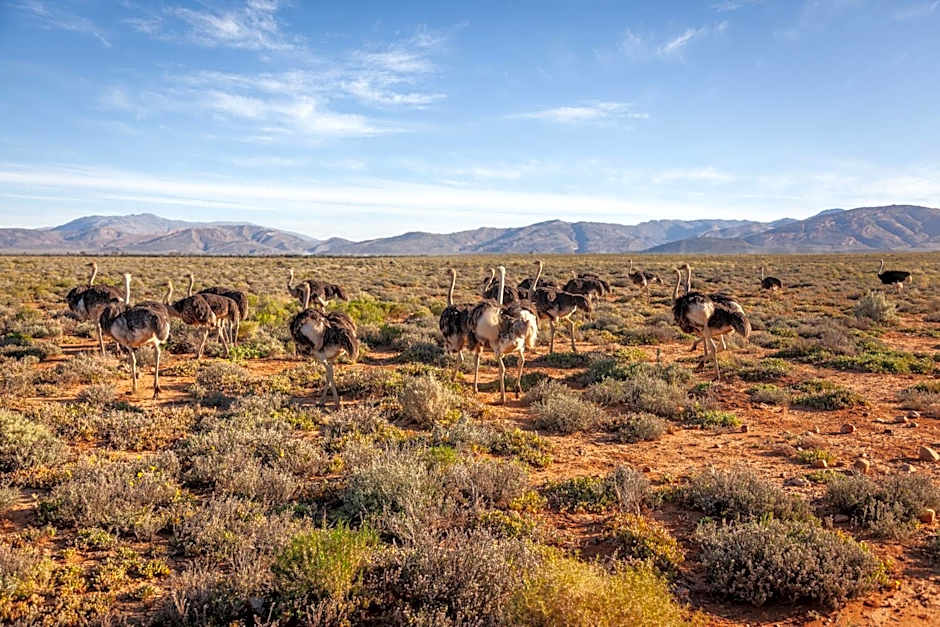 Inverdoorn Game Reserve Lodge