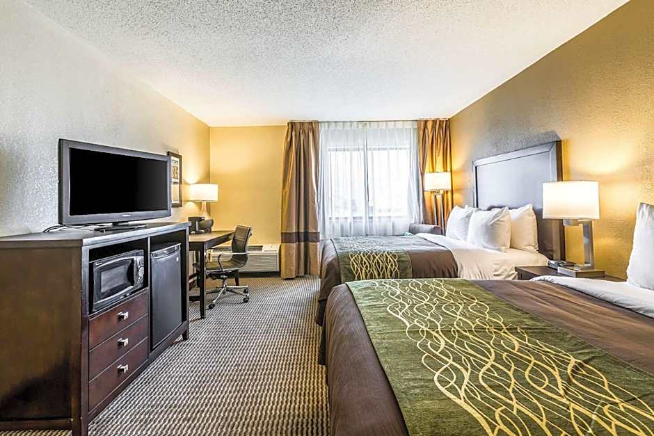 Comfort Inn Detroit Downtown