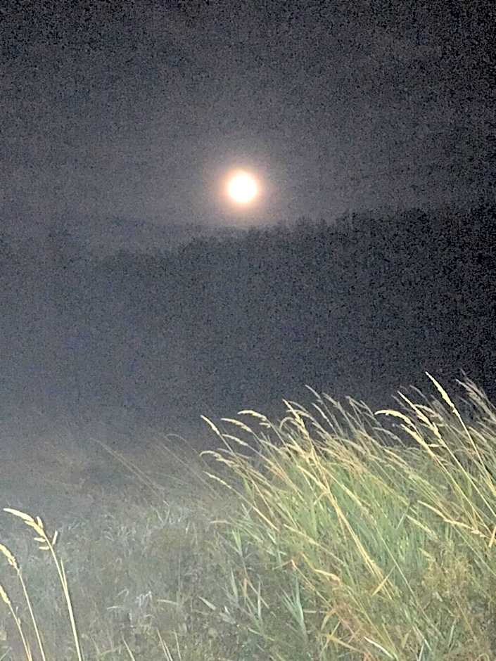 the Orangery - BnB Suites