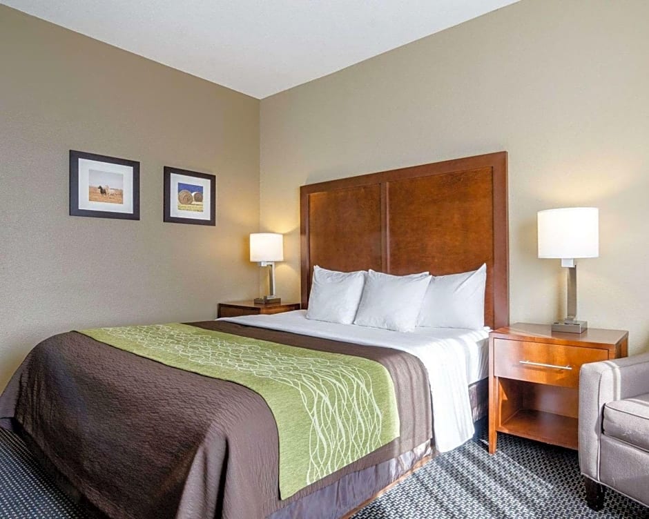 Comfort Inn Garden City