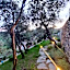 Il Giardino di Fe