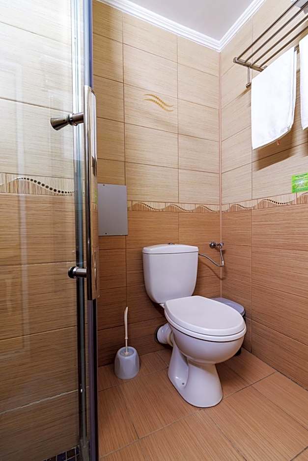 Hotel Central - Baile Olanesti