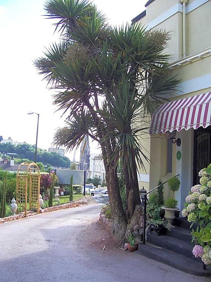 The Somerville