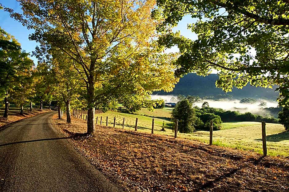 Clarendon Forest Retreat