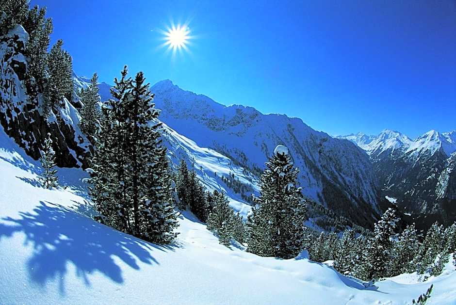 Hotel Bergland Superior