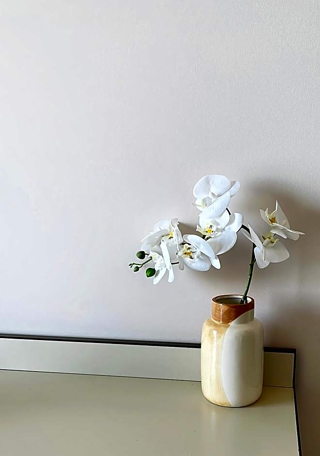 L'Approdo di Angelino