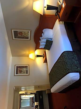 King Room - Non-Smoking