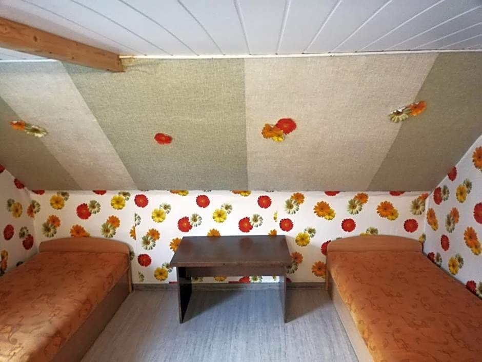 Nakvynė apgyvendinimo paslaugos DAIVOS NAKVYNĖS NAMAI