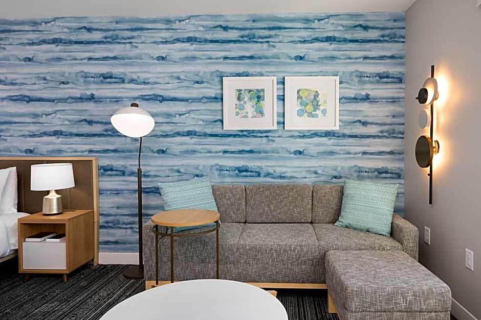 TownePlace Suites by Marriott Canton Riverstone Parkway