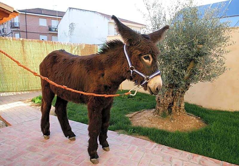 Posada Los Condestables Hotel & Spa