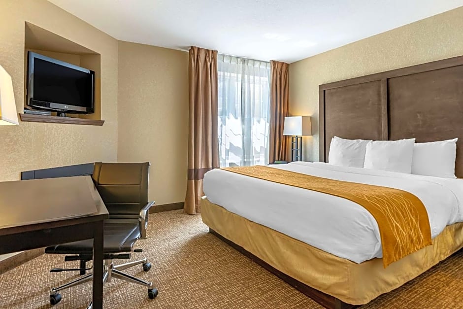 Comfort Inn & Suites Allen Park - Dearborn