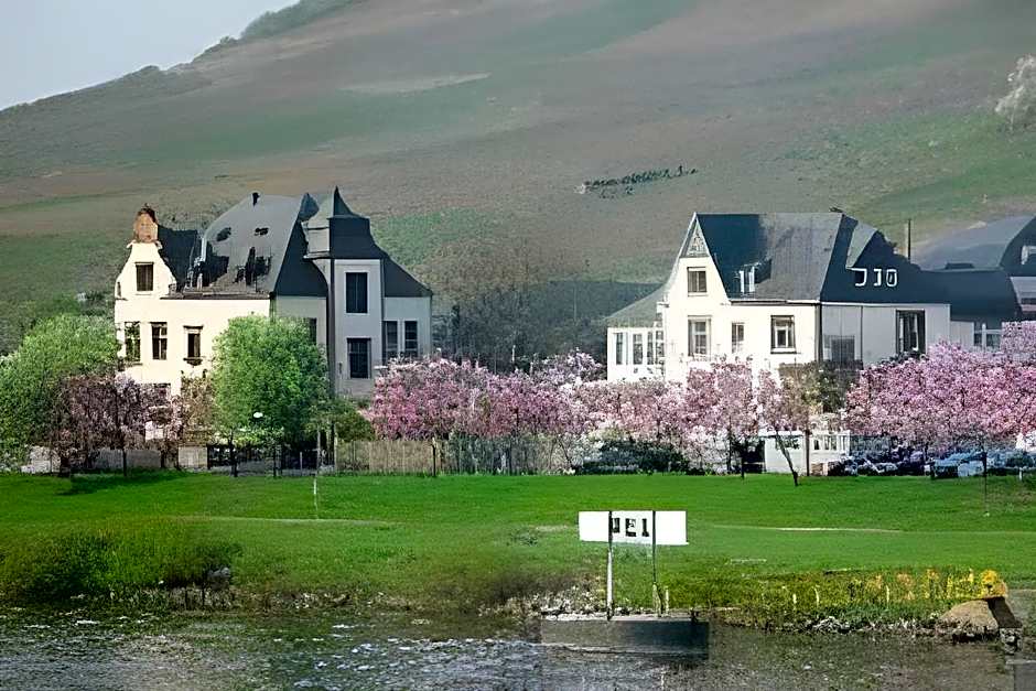 Boutique Hotel Villa Melsheimer