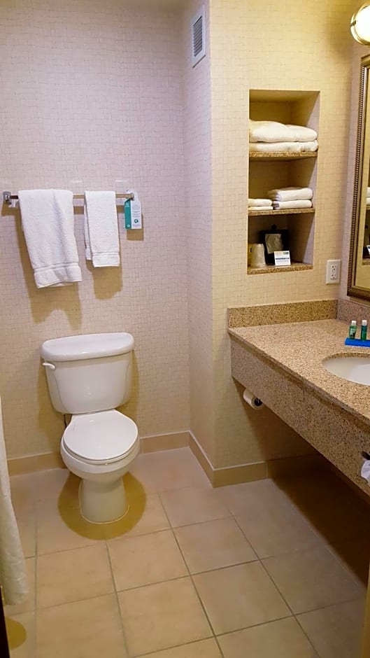 Holiday Inn Express Hotel Twin Falls By IHG