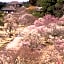 Terrace Inn Katsuta