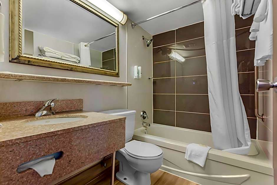 Quality Inn & Suites Mississauga