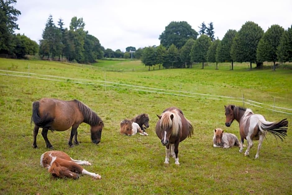 Château de La Sémondière