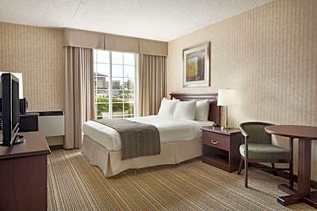 Queen Bed Non Smoking