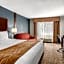 Comfort Inn & Suites Vancouver Downtown City Center