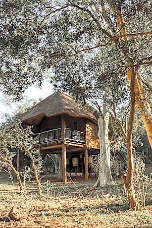 Ubizane Zululand Tree Lodge