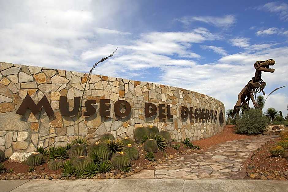 One Saltillo Aeropuerto