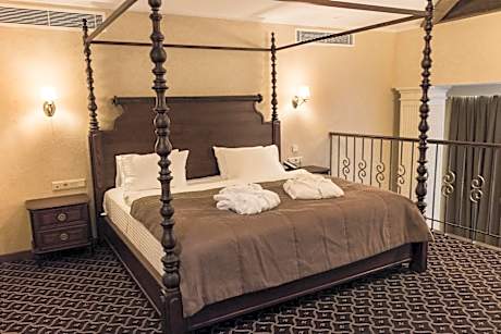 Deluxe Apartment without SPA access