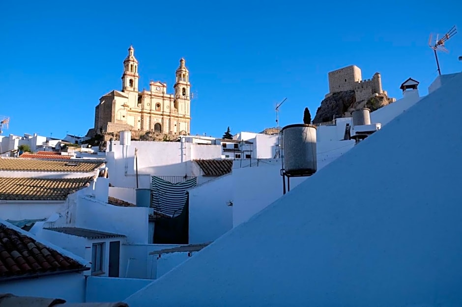 No 31 Bed & Breakfast