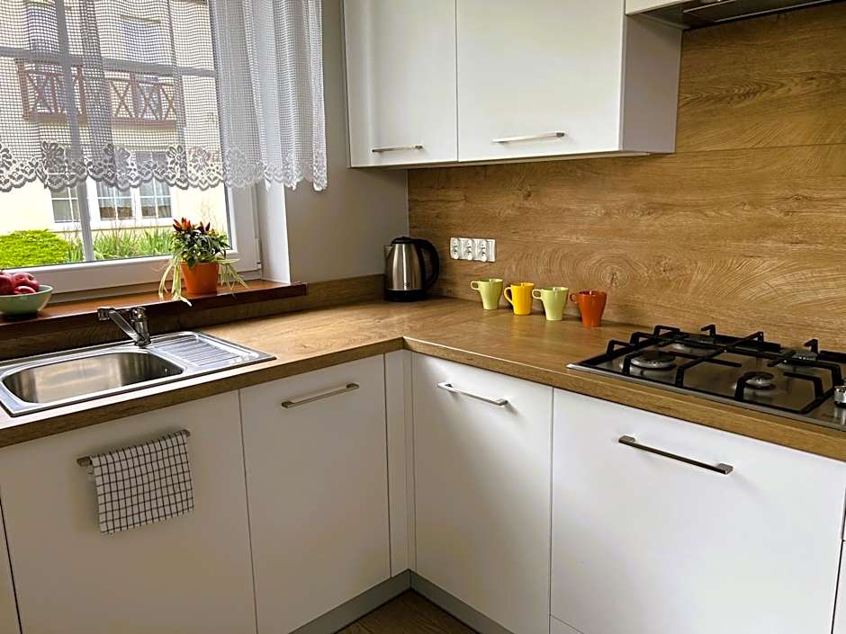 ApartamentyKudowa - Willa Pod Dębami z ogrodem i parkingiem,