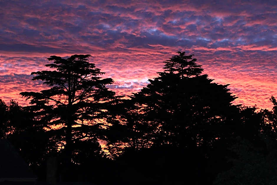 Pirralilla Estate Adelaide Hills