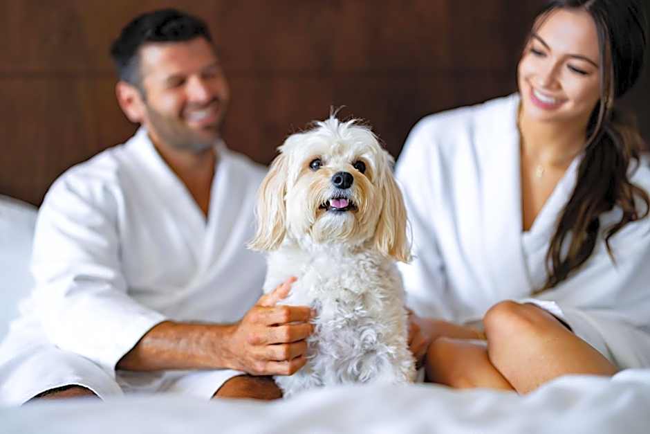 The Westin South Coast Plaza, Costa Mesa