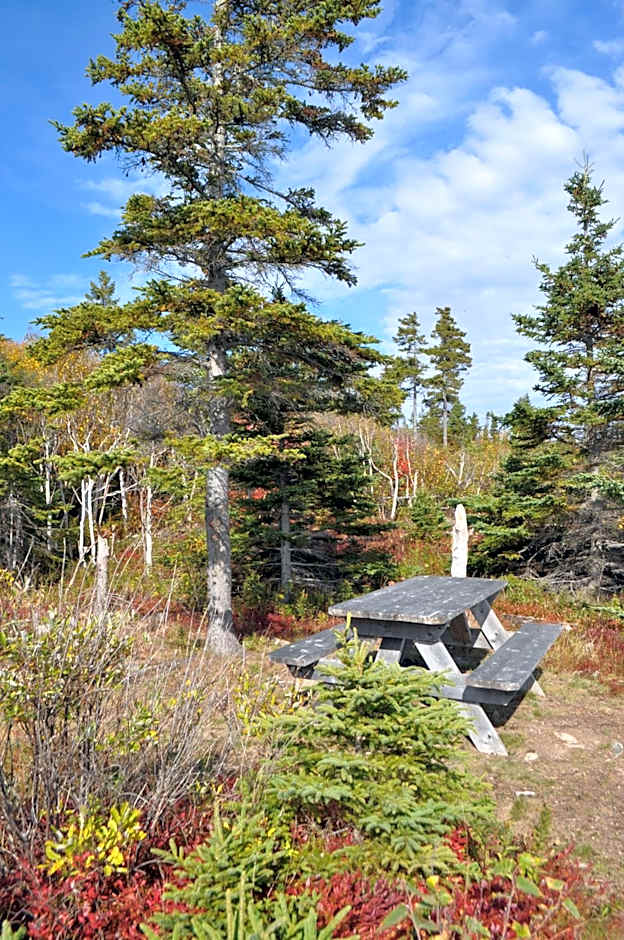 The Sleeping Moose Cottage