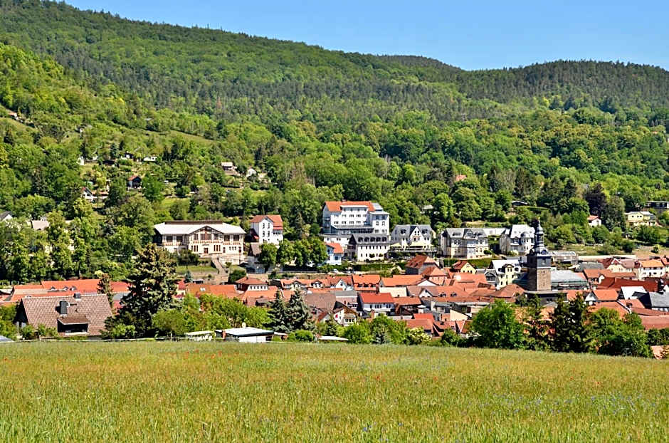 Villa Frieden Hotel & Seminarhaus