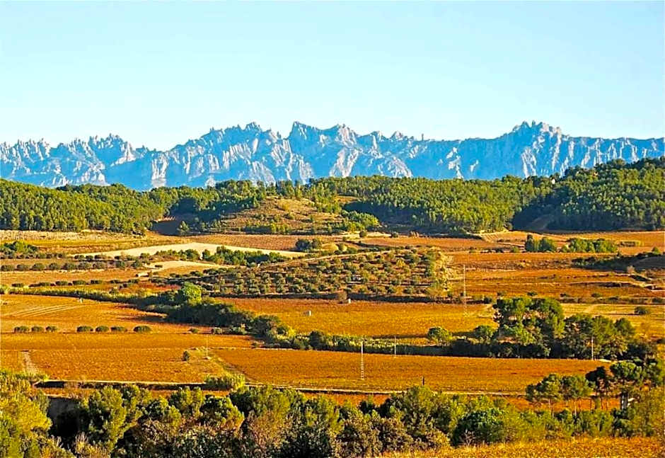 Hotel rural HD Riudebitlles art i allotjament