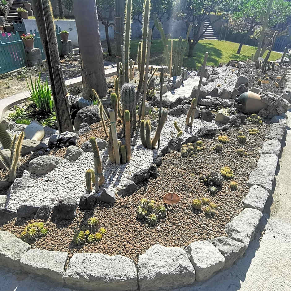 Villa Olivia Residence Ischia - Monolocali e Bilocali nel Verde con Piscine e Vista Mare