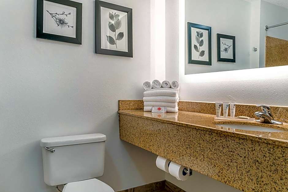 Country Inn & Suites by Radisson, Rossford - Toledo South