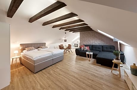 Studio with Sofa Bed