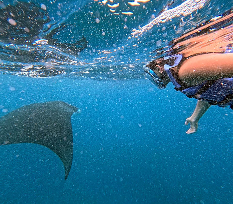 Sea Bridge Villa Ceningan