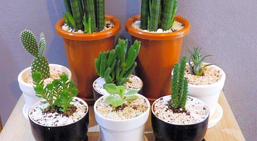 Rin Guesthouse - Pracharak Rd.