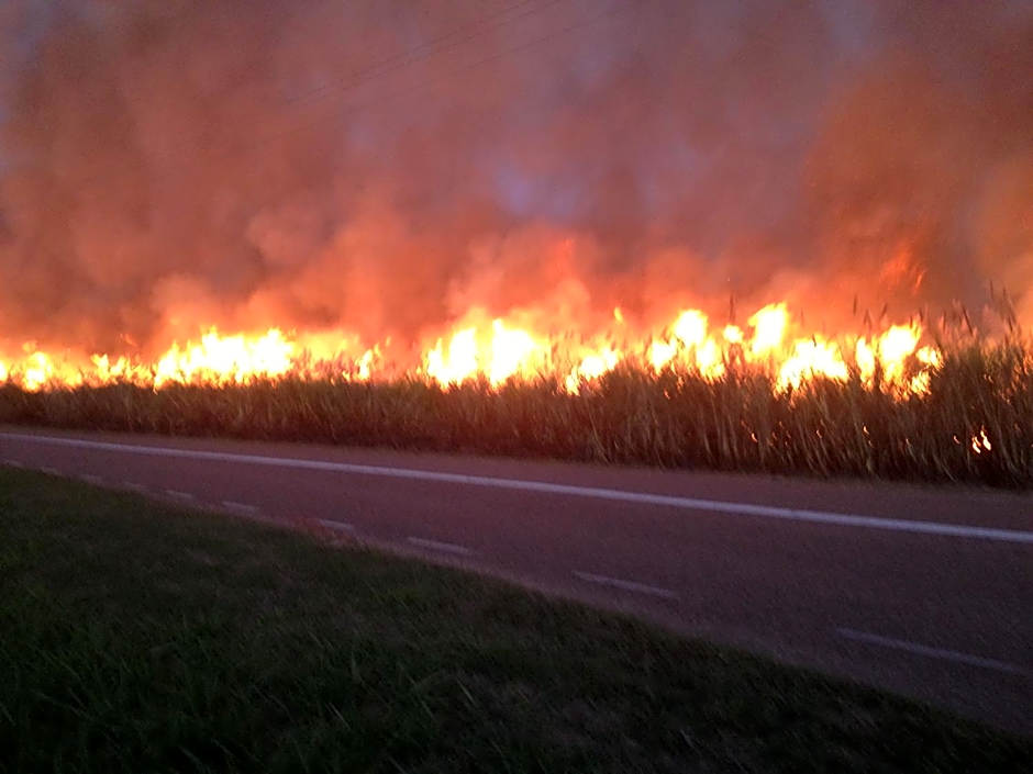 Plantation Park Motor Inn