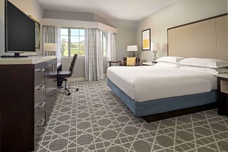 1 King Bed Guestroom