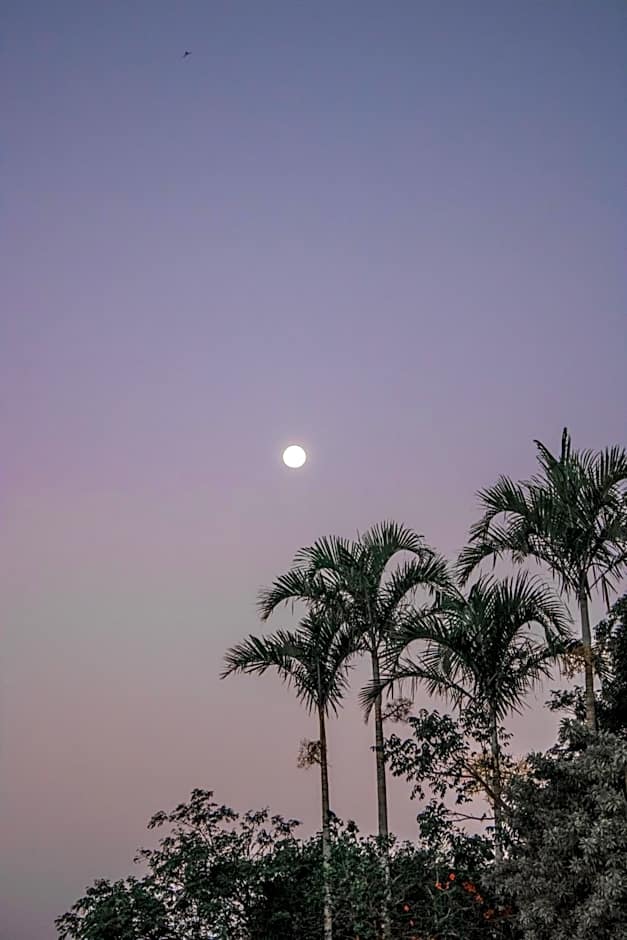 The Eco Palace Hostel