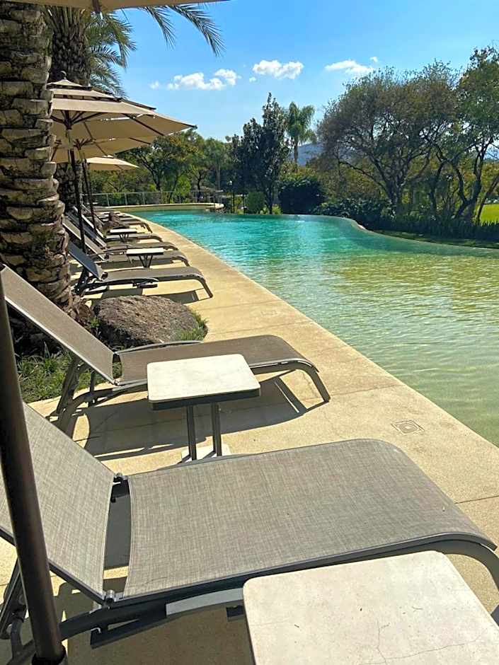 Huayacán Cuernavaca Curamoria Collection