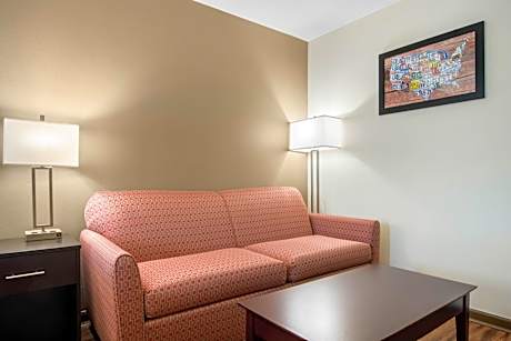 1 King Bed, No Smoking, Accessible Room
