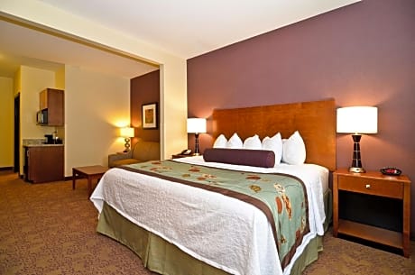Suite-1 King Bed, Non-Smoking, Separate Bedroom, Conference Table, 37-Inch LCD TV, Sofabed, Full Bre