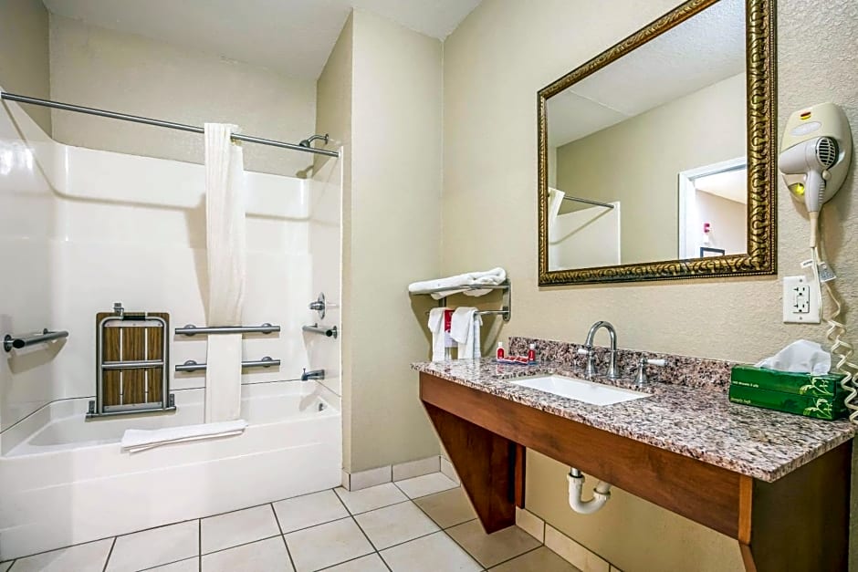 Econo Lodge Inn & Suites Horn Lake
