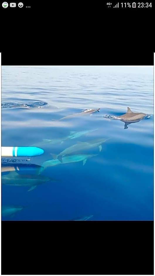 Private villa bamboo cozy