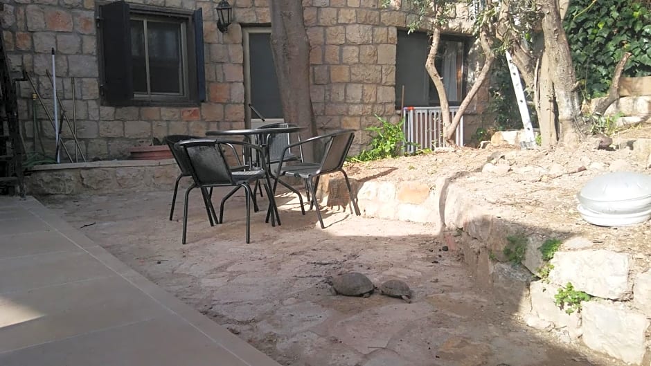 Myrtle the Turtle Guesthouse